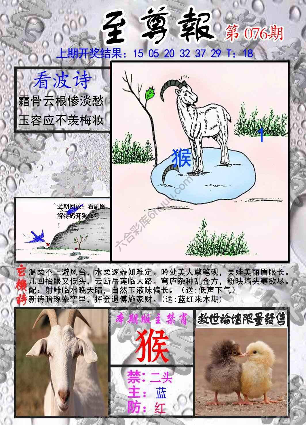 至尊报