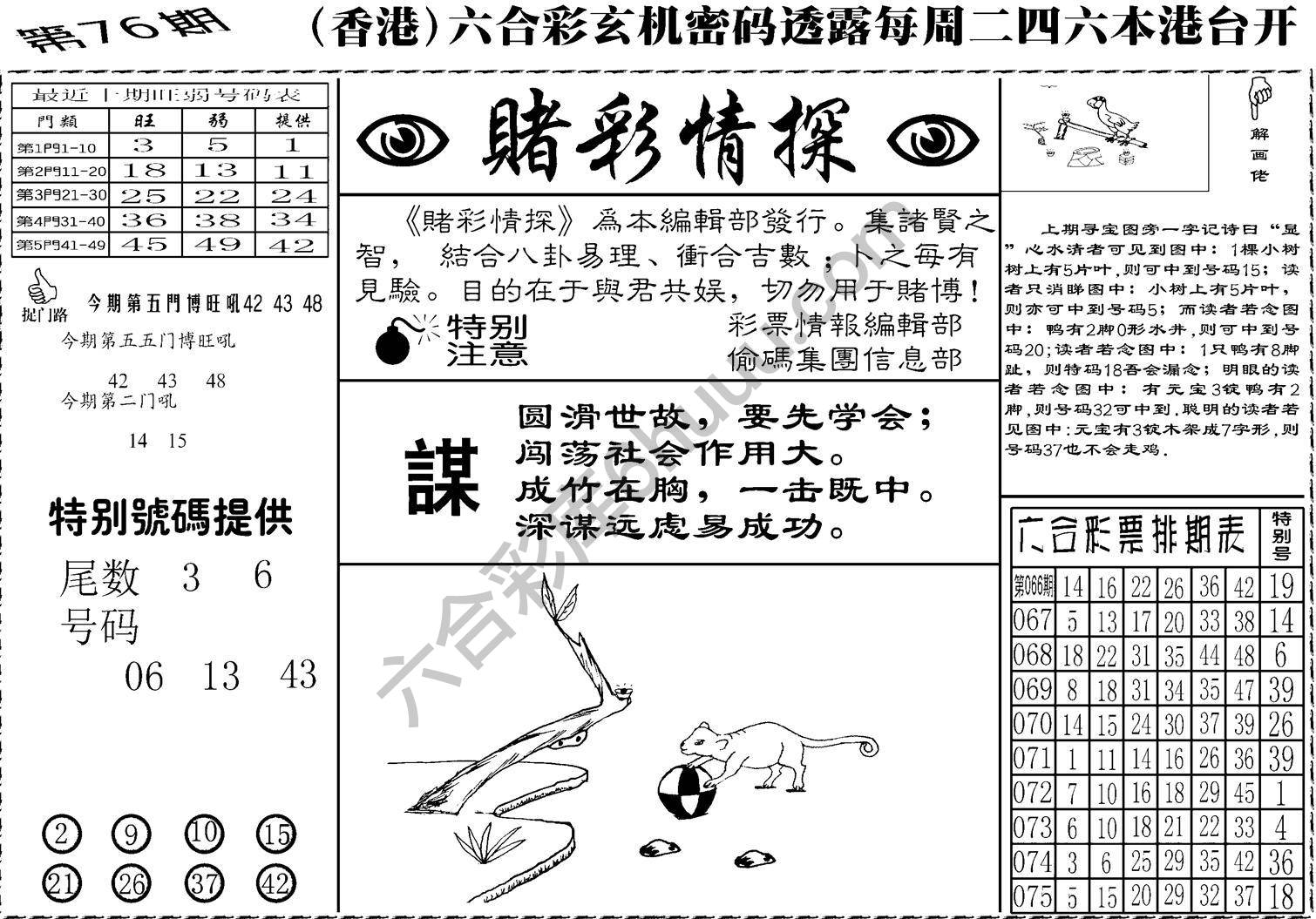 赌彩情探