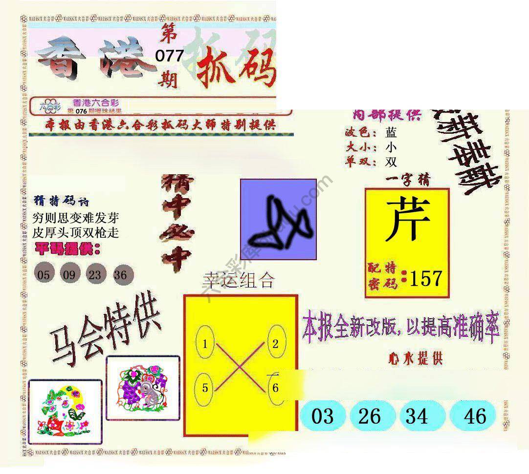 新抓码王