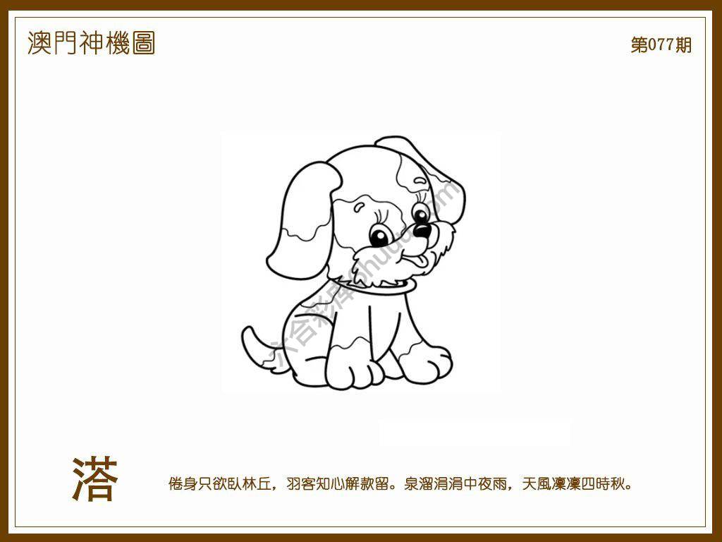 澳门神机图