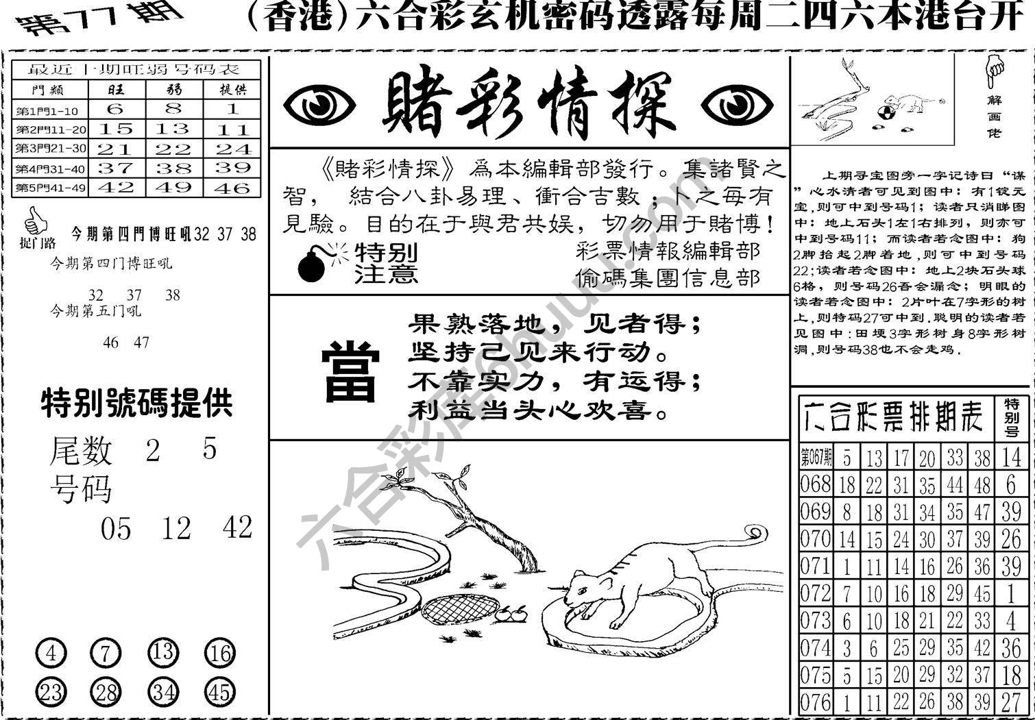 赌彩情探