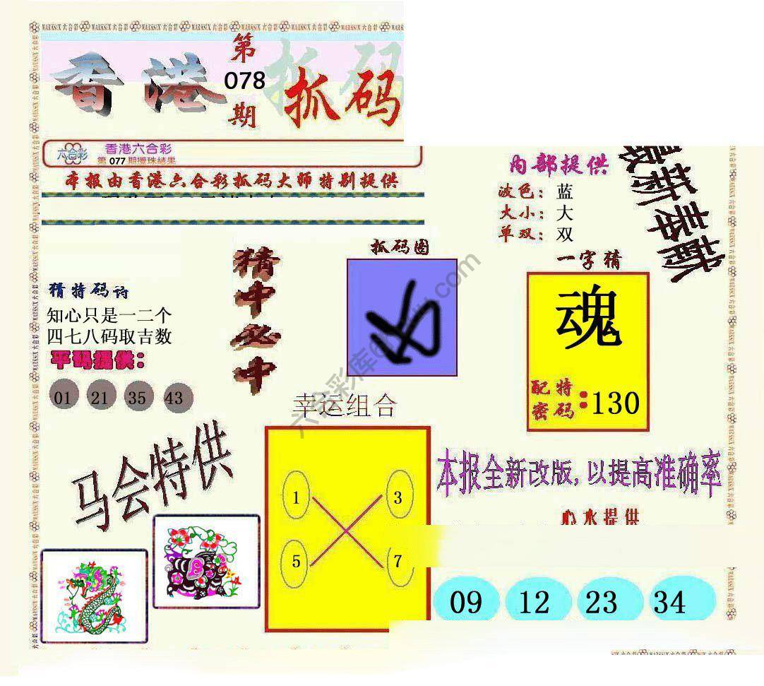 新抓码王