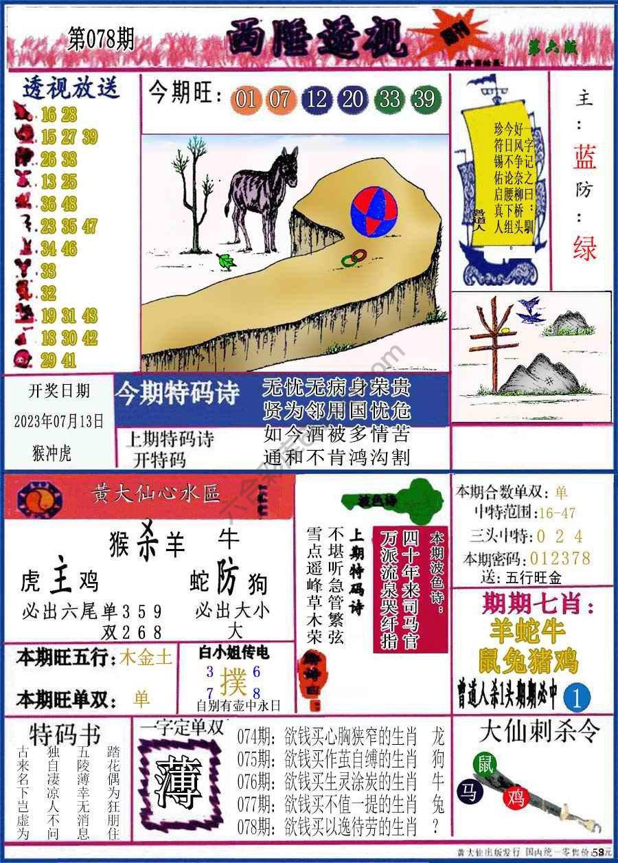 西陲透视（正版）
