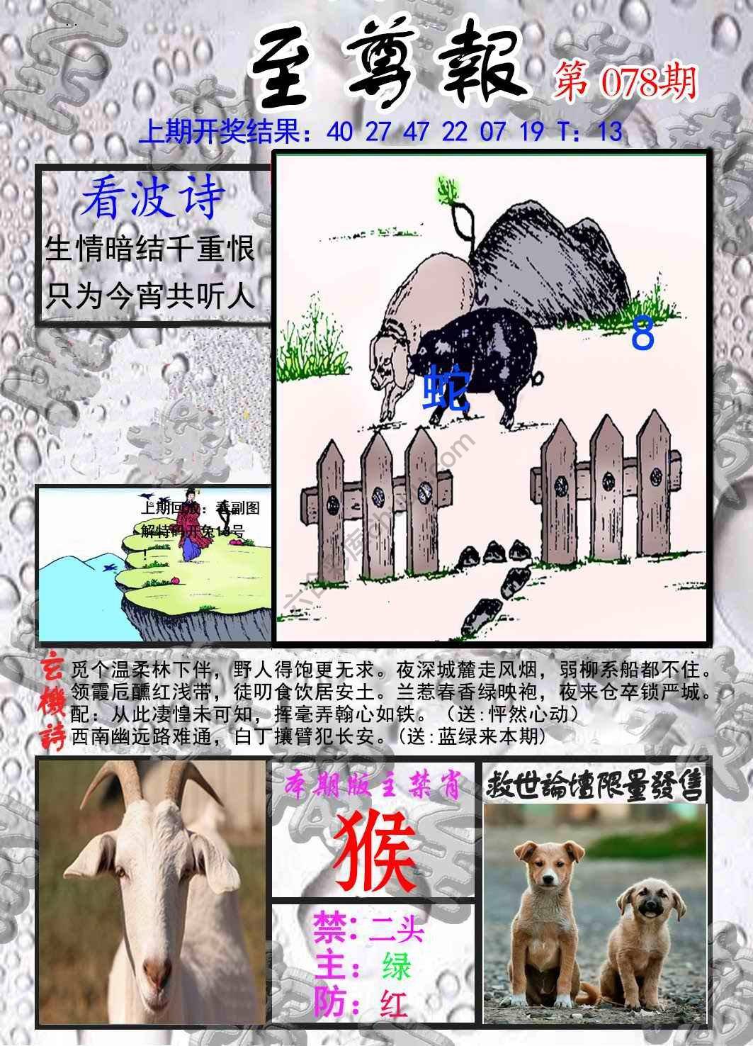 至尊报