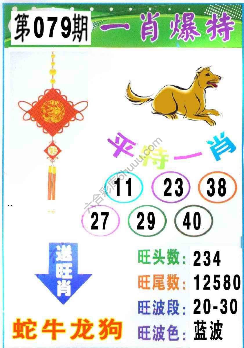 一肖爆特（新版）