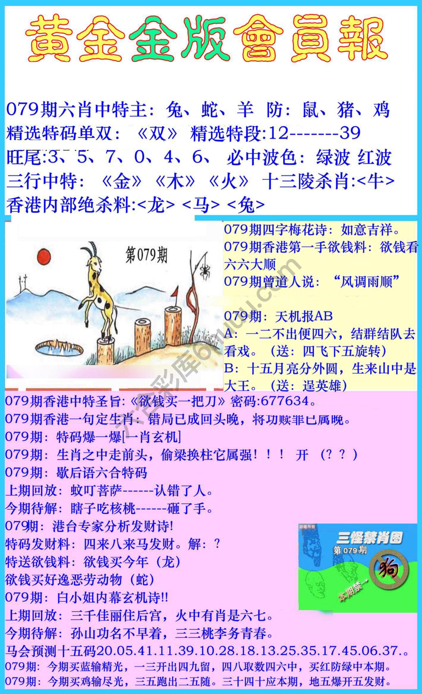 黄金金版会员报
