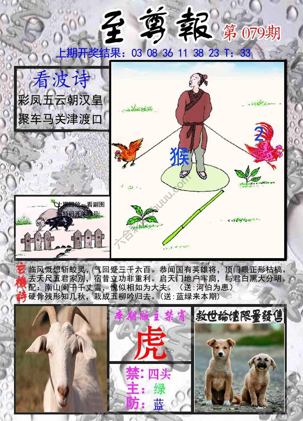 至尊报