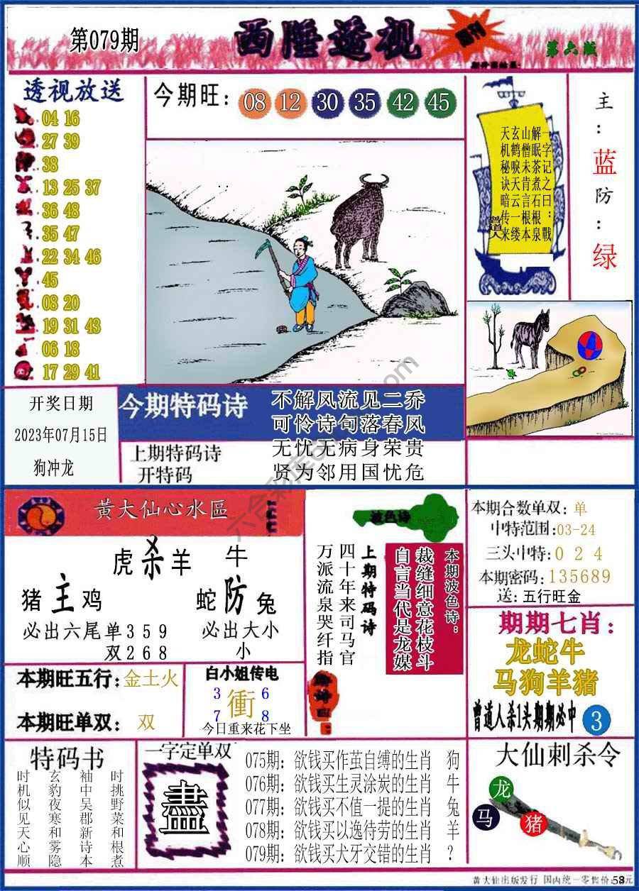 西陲透视（正版）