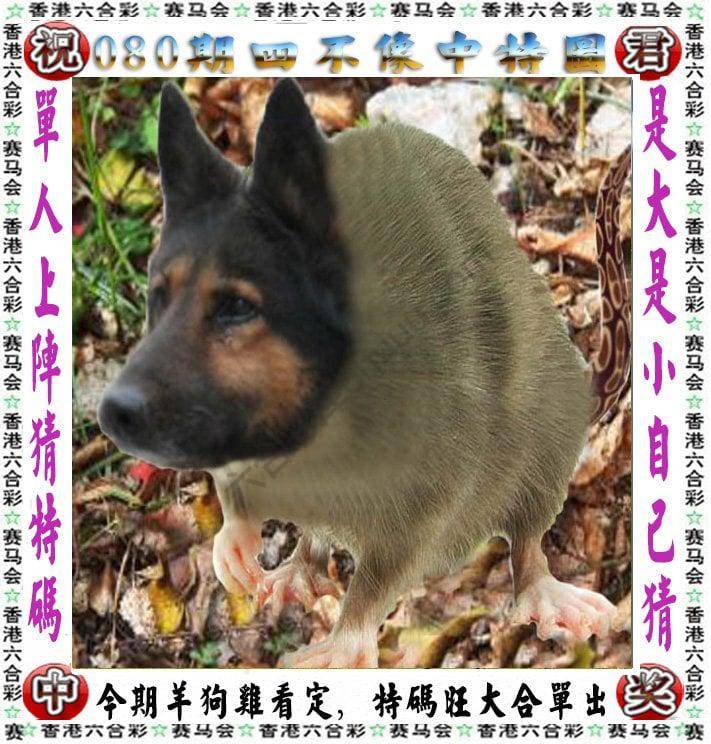 四不像中特图