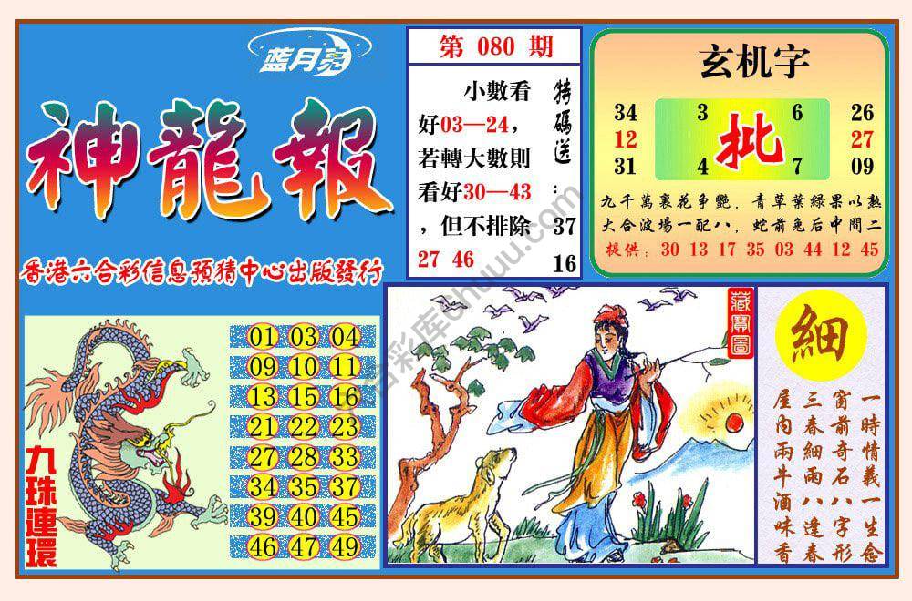 蓝月亮神龙报