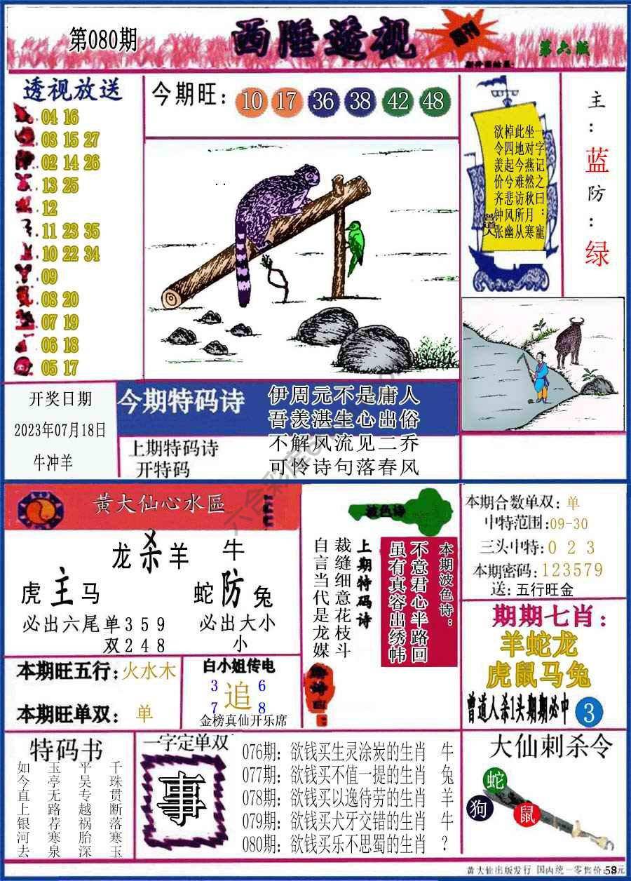 西陲透视（正版）