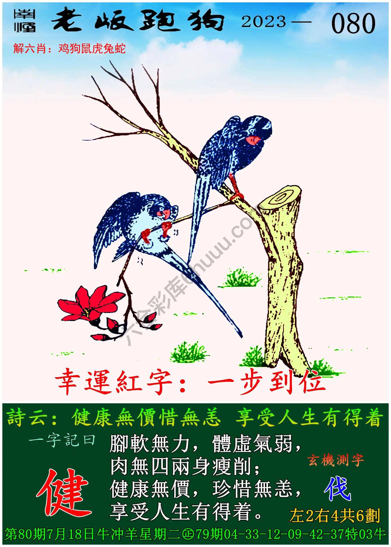 老版跑狗图