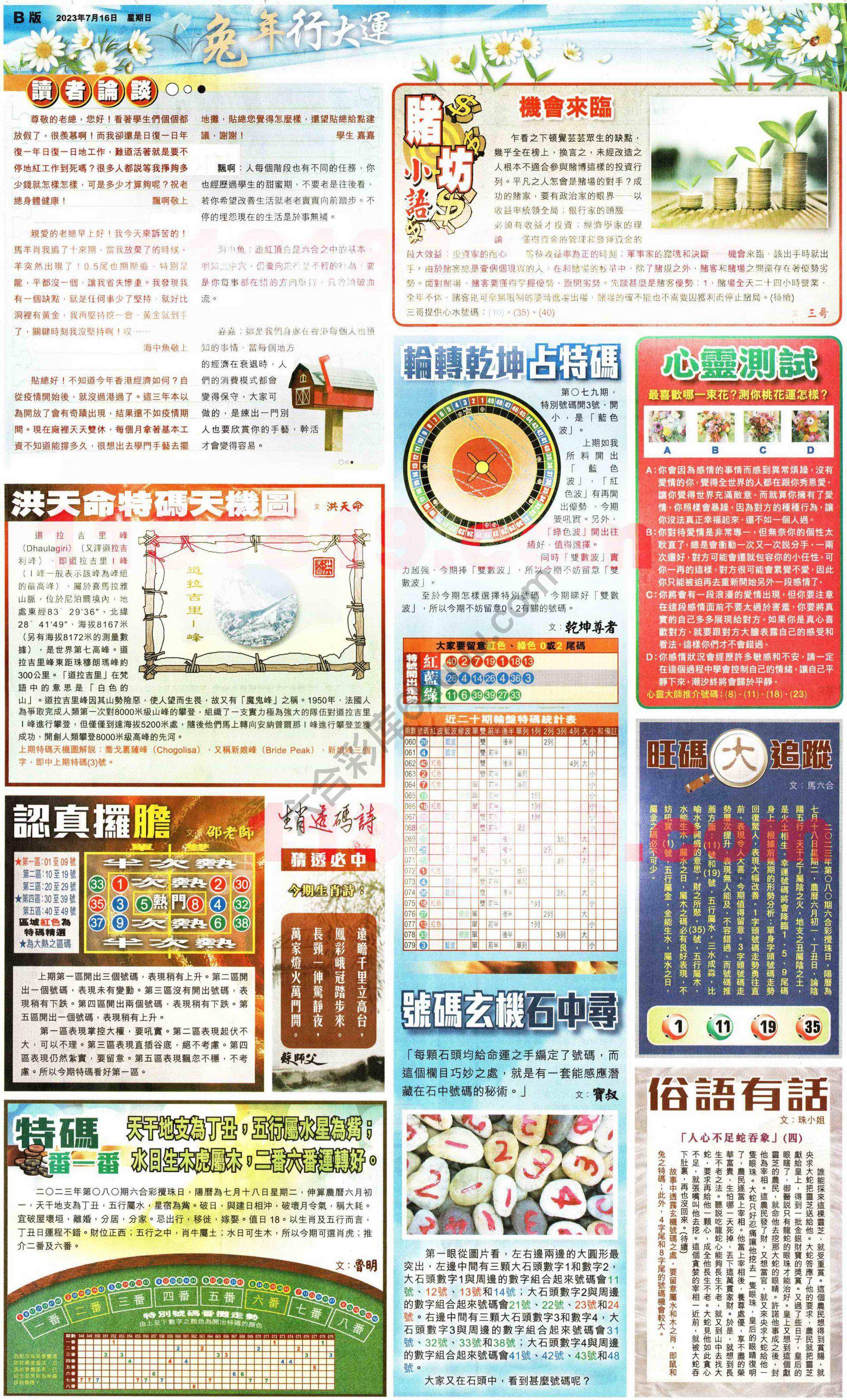 大版贴士皇