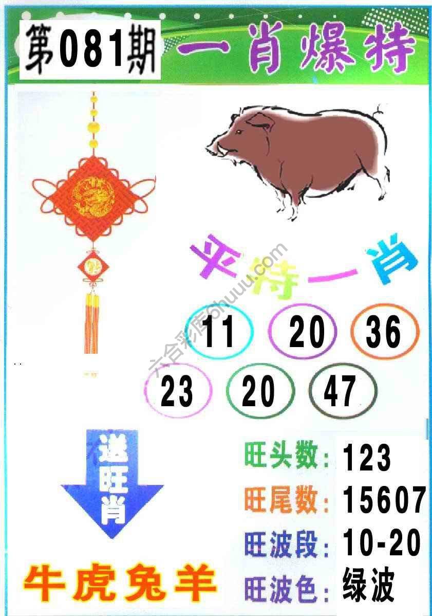 一肖爆特（新版）