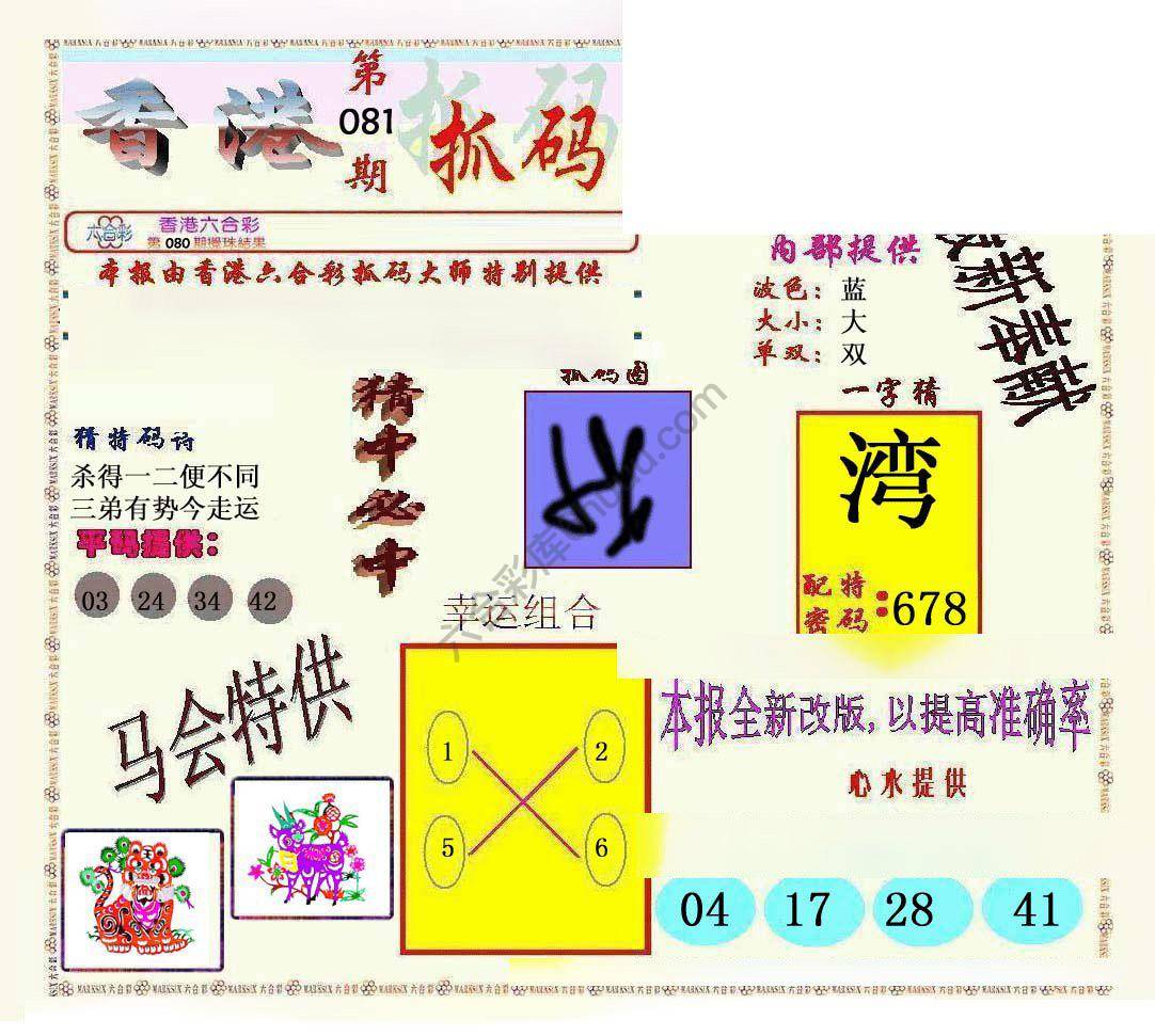 新抓码王