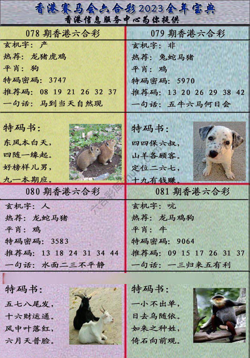 宝典报