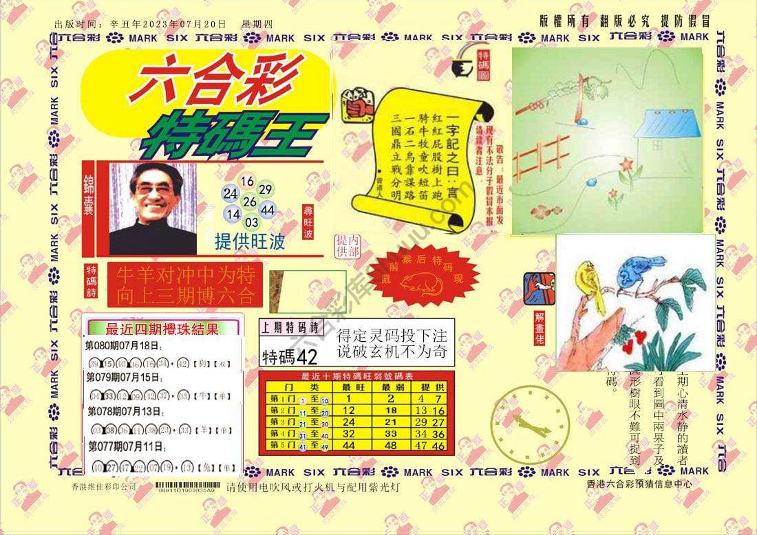 特码王