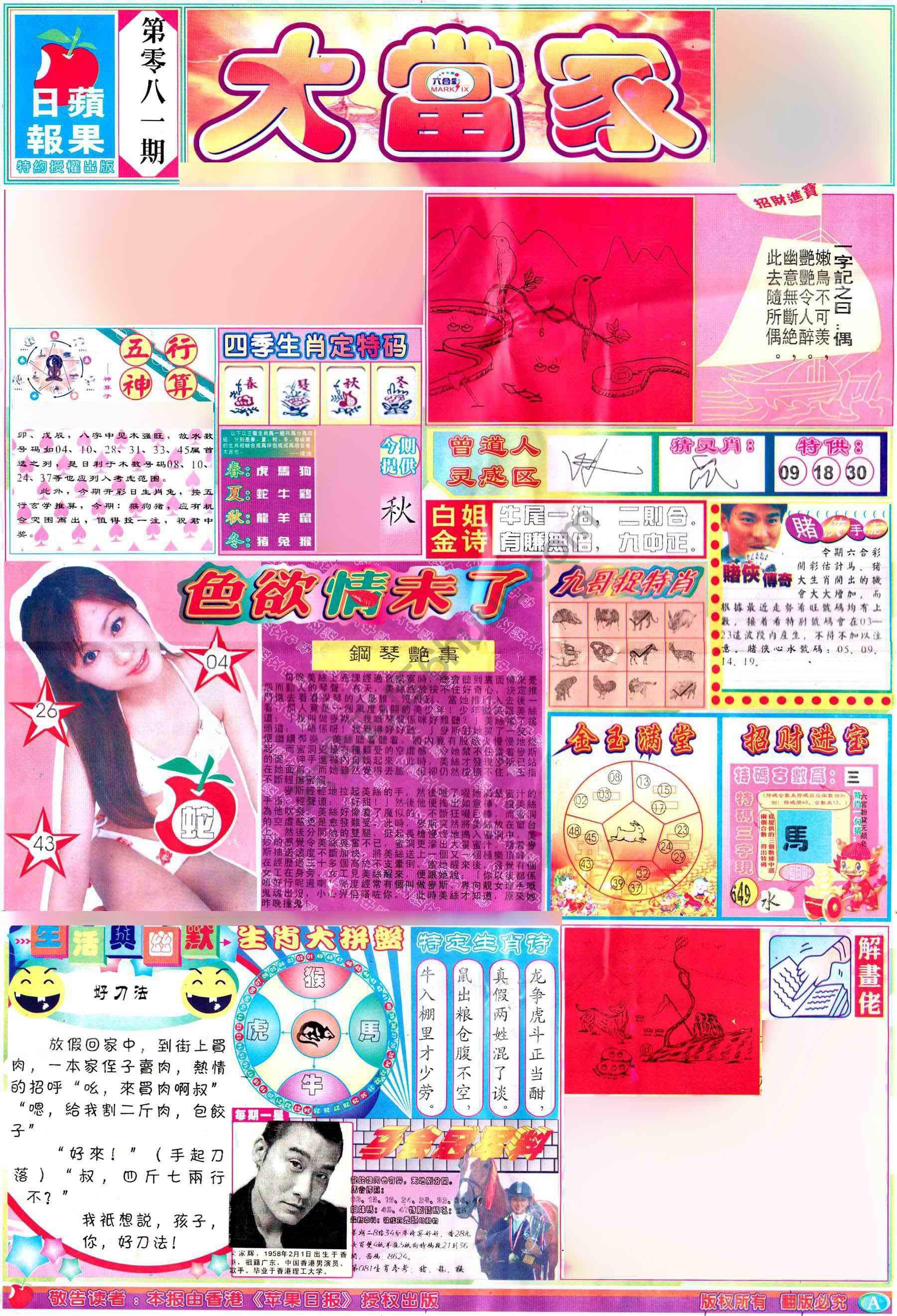 大当家