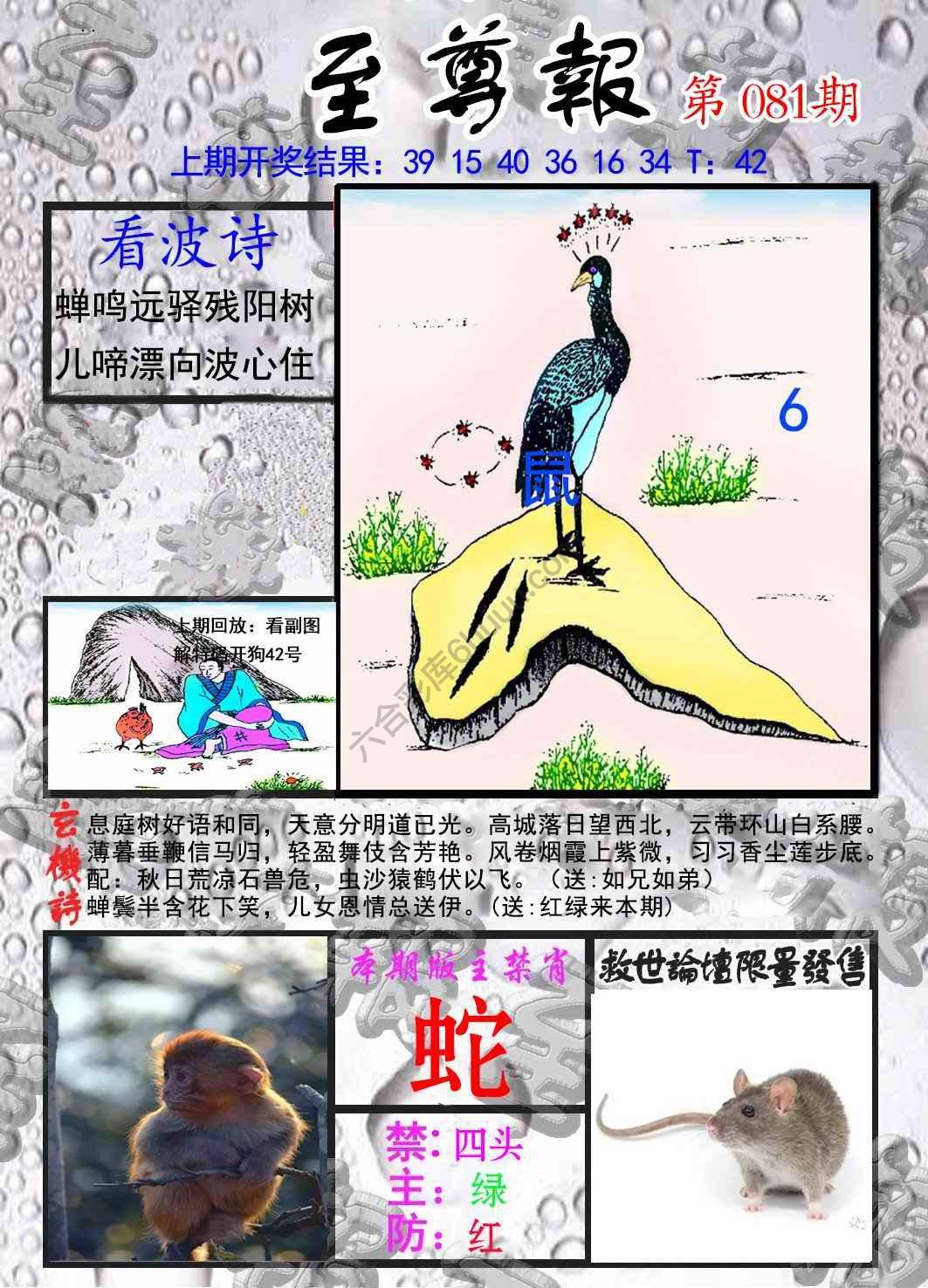 至尊报