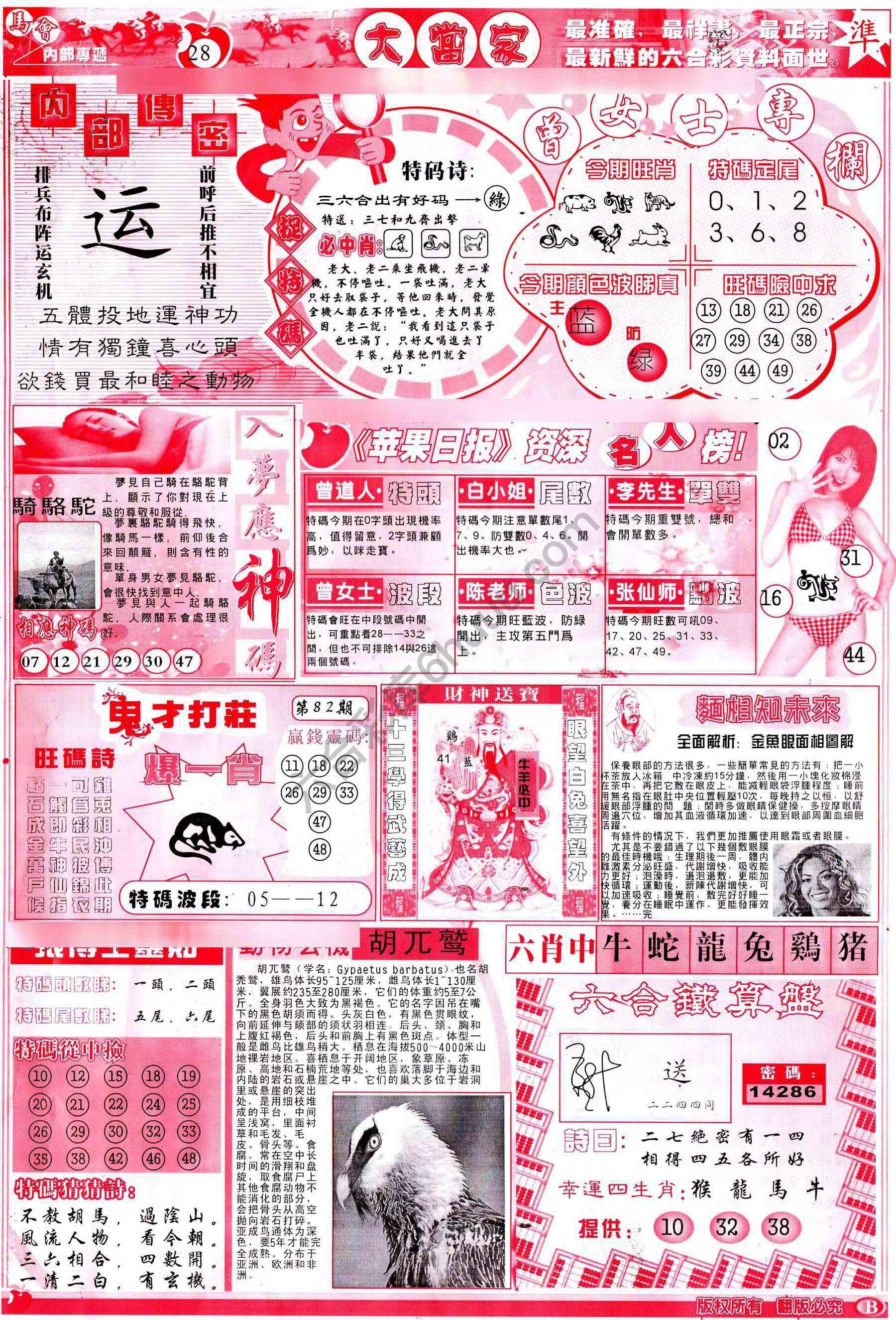 大当家