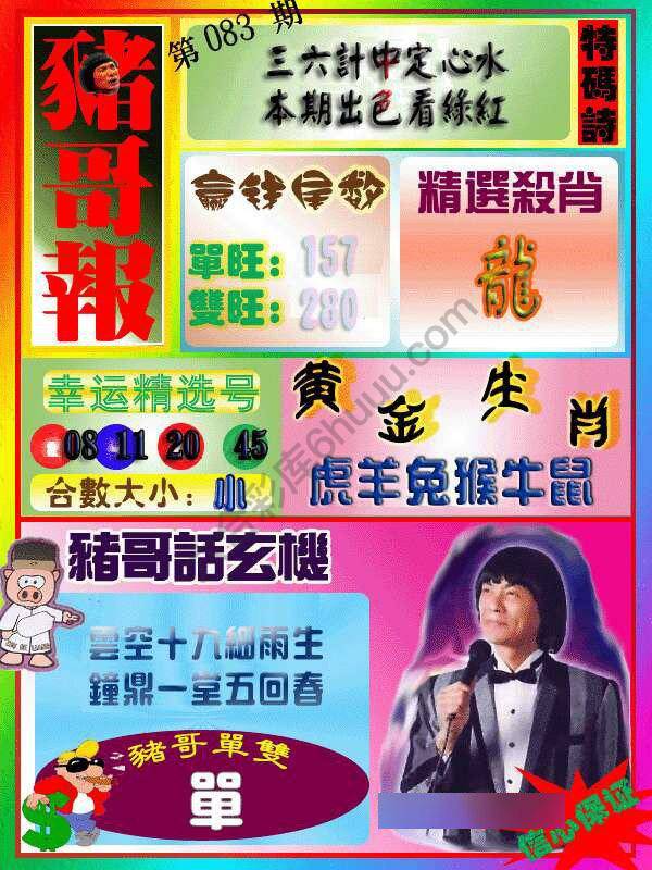 猪哥报