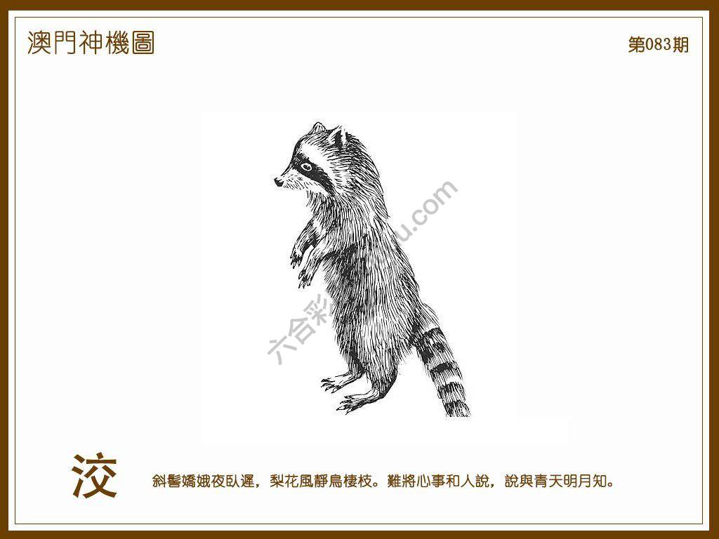 澳门神机图
