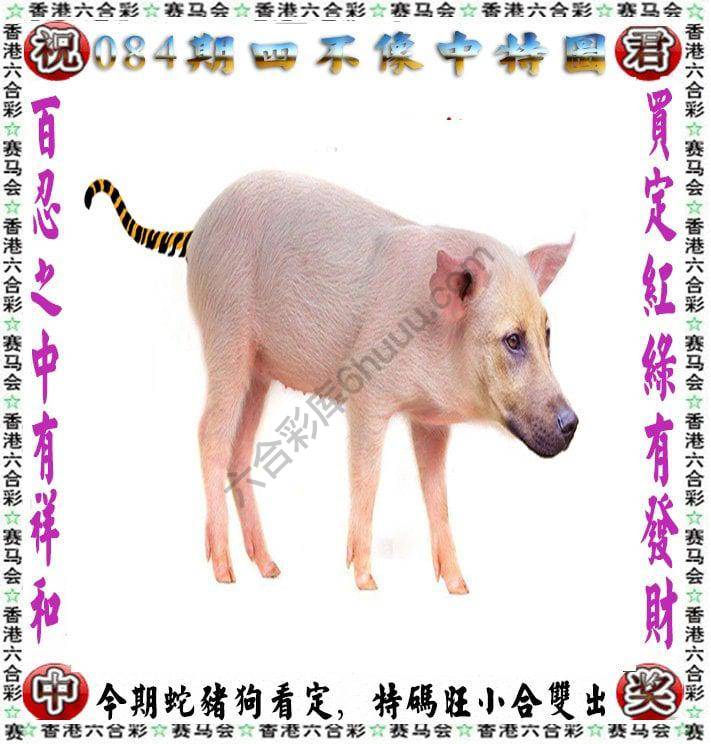 四不像中特图