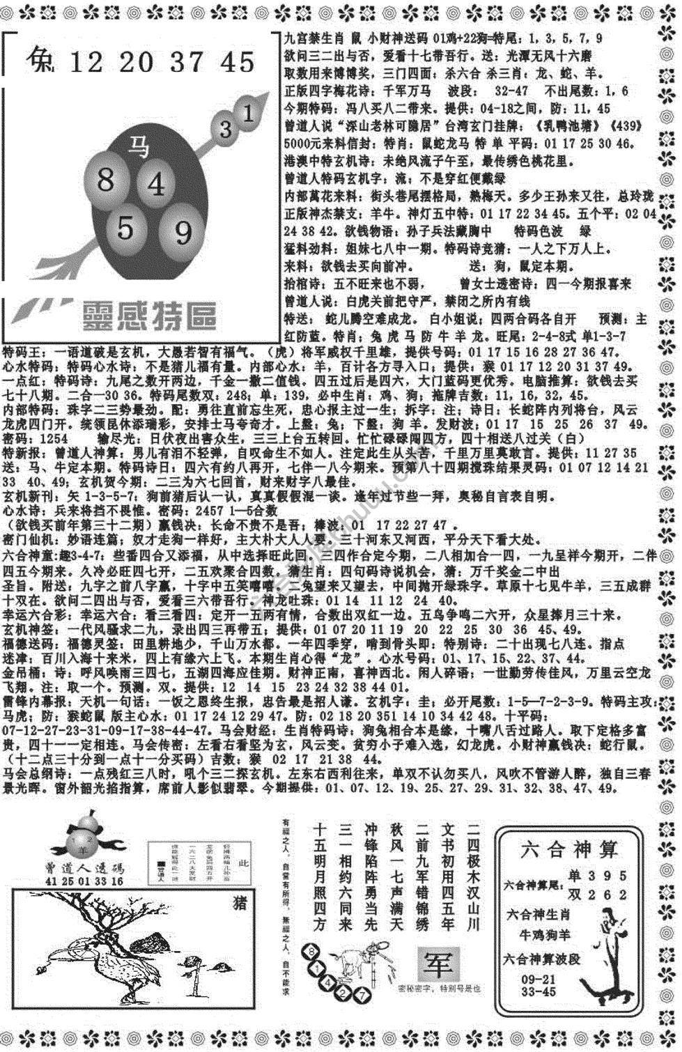 新香港彩霸王