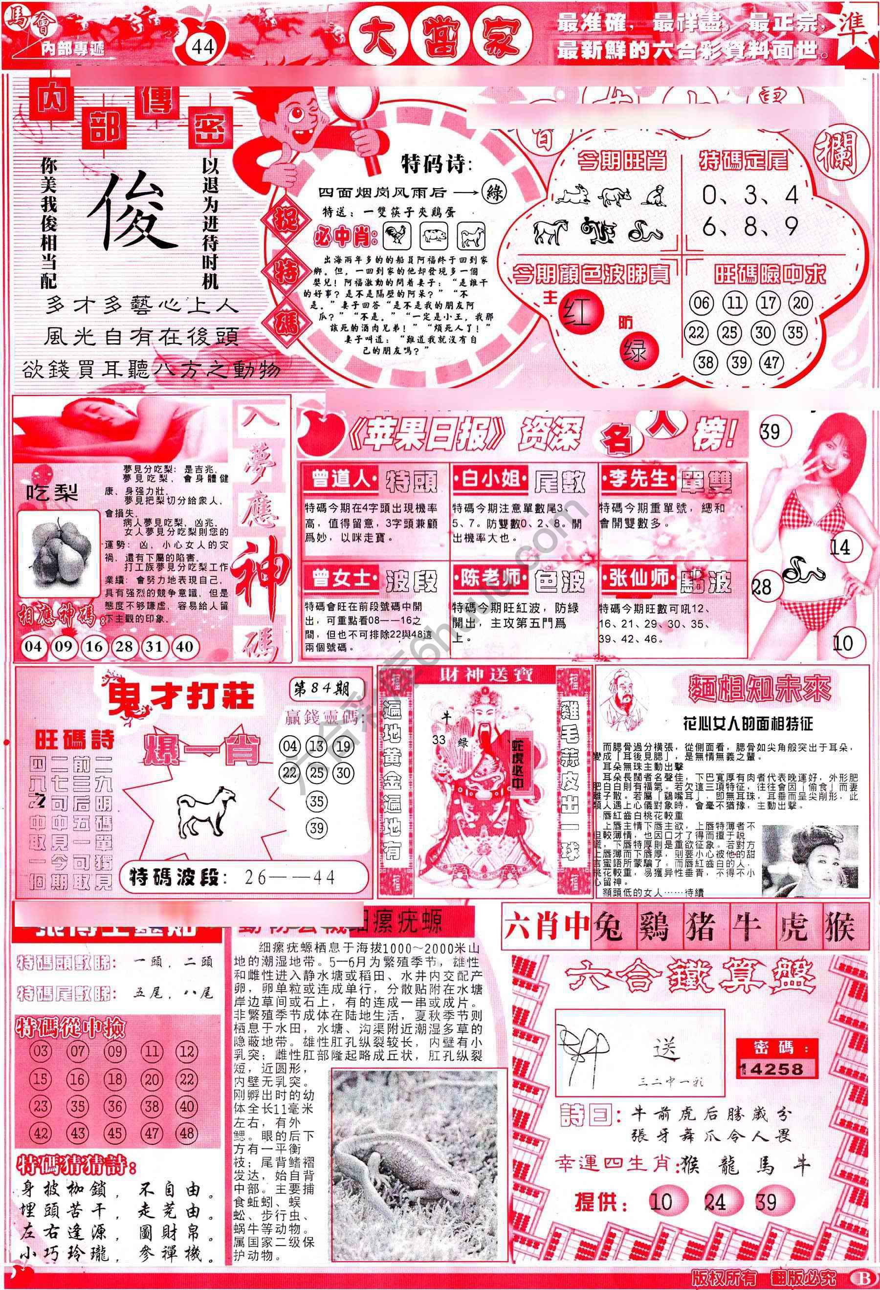 大当家