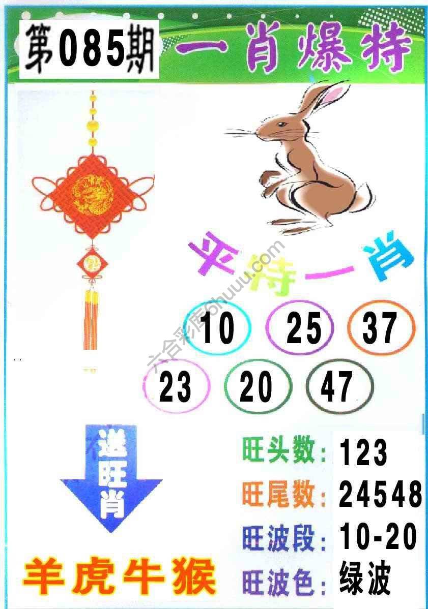 一肖爆特（新版）