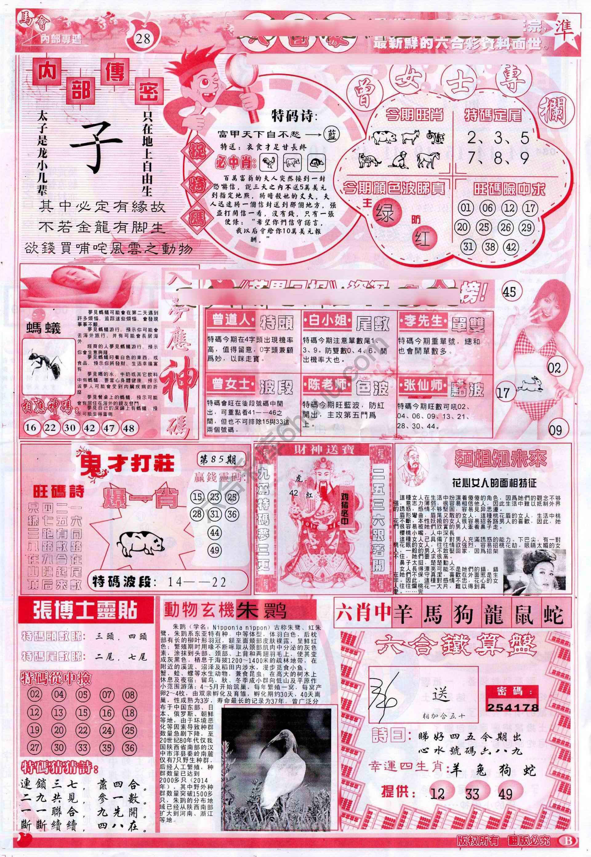 大当家