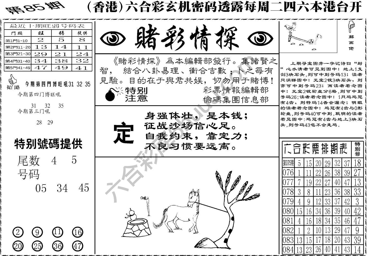 赌彩情探