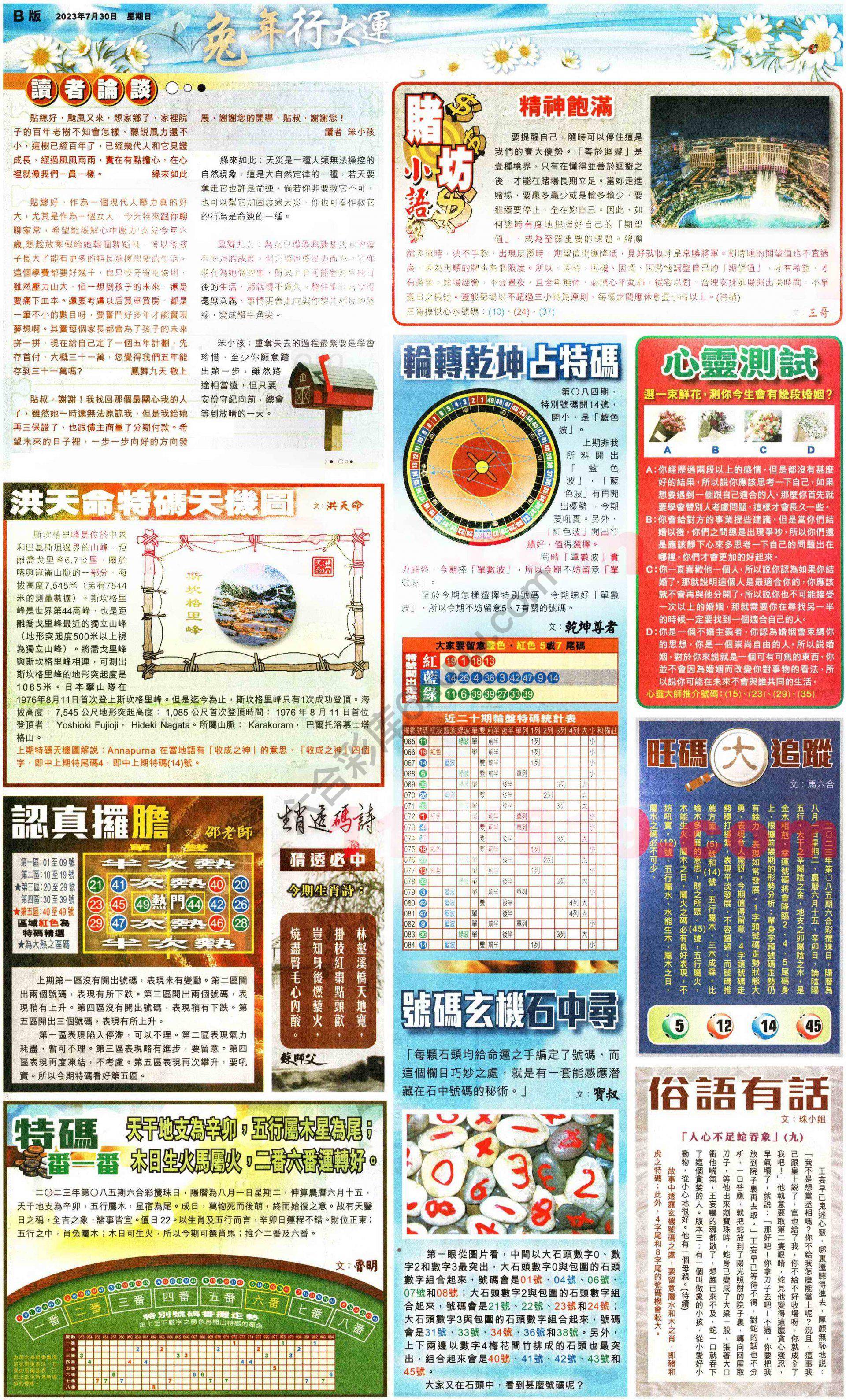 大版贴士皇
