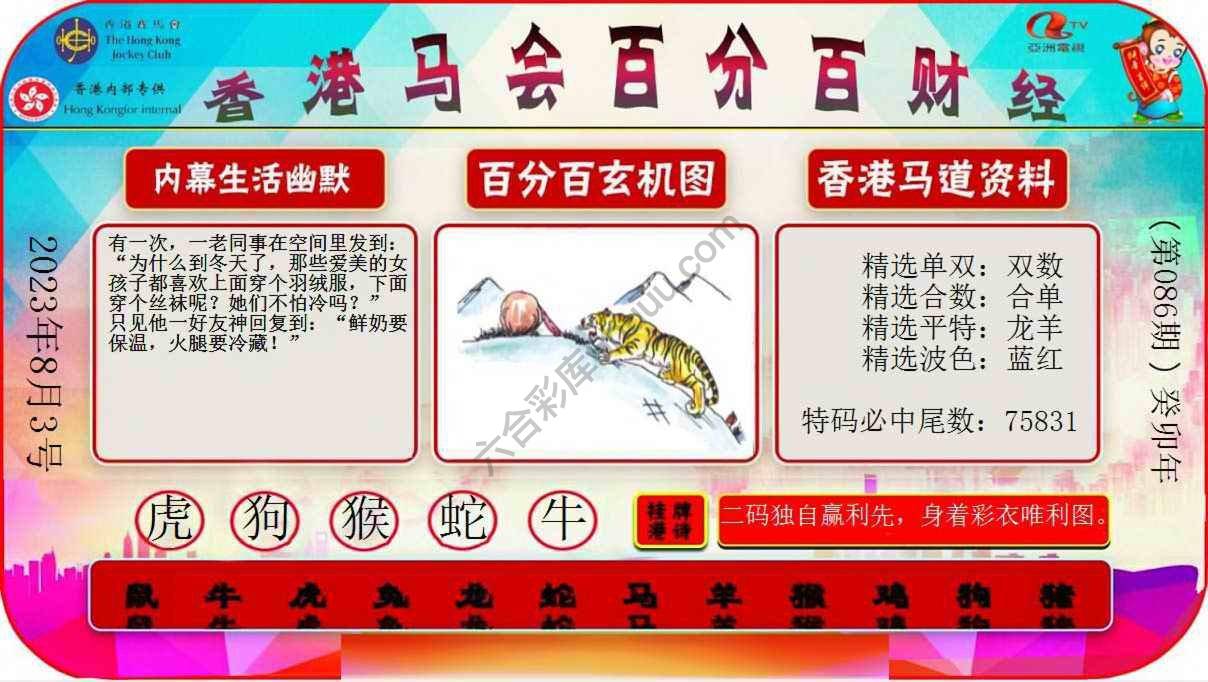 百分百财经
