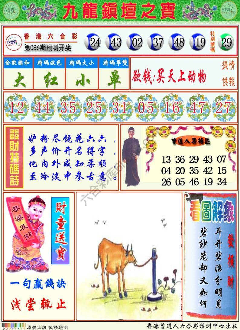 九龙挂牌解特码