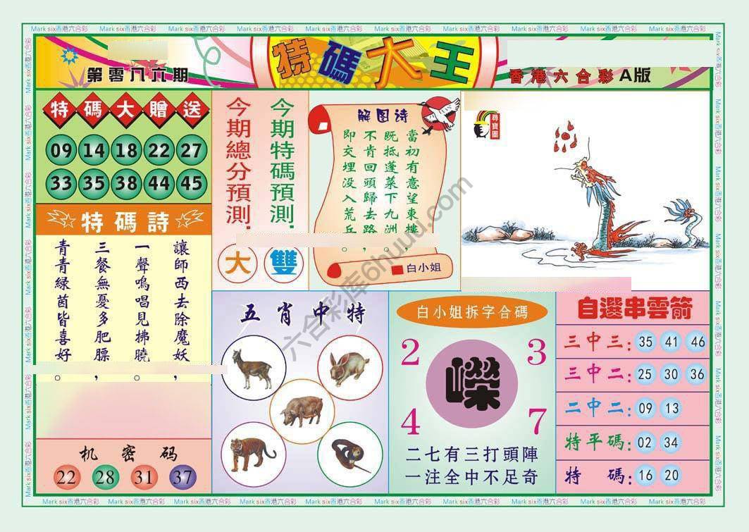 特码大王