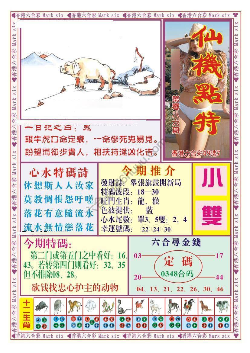 仙机点特