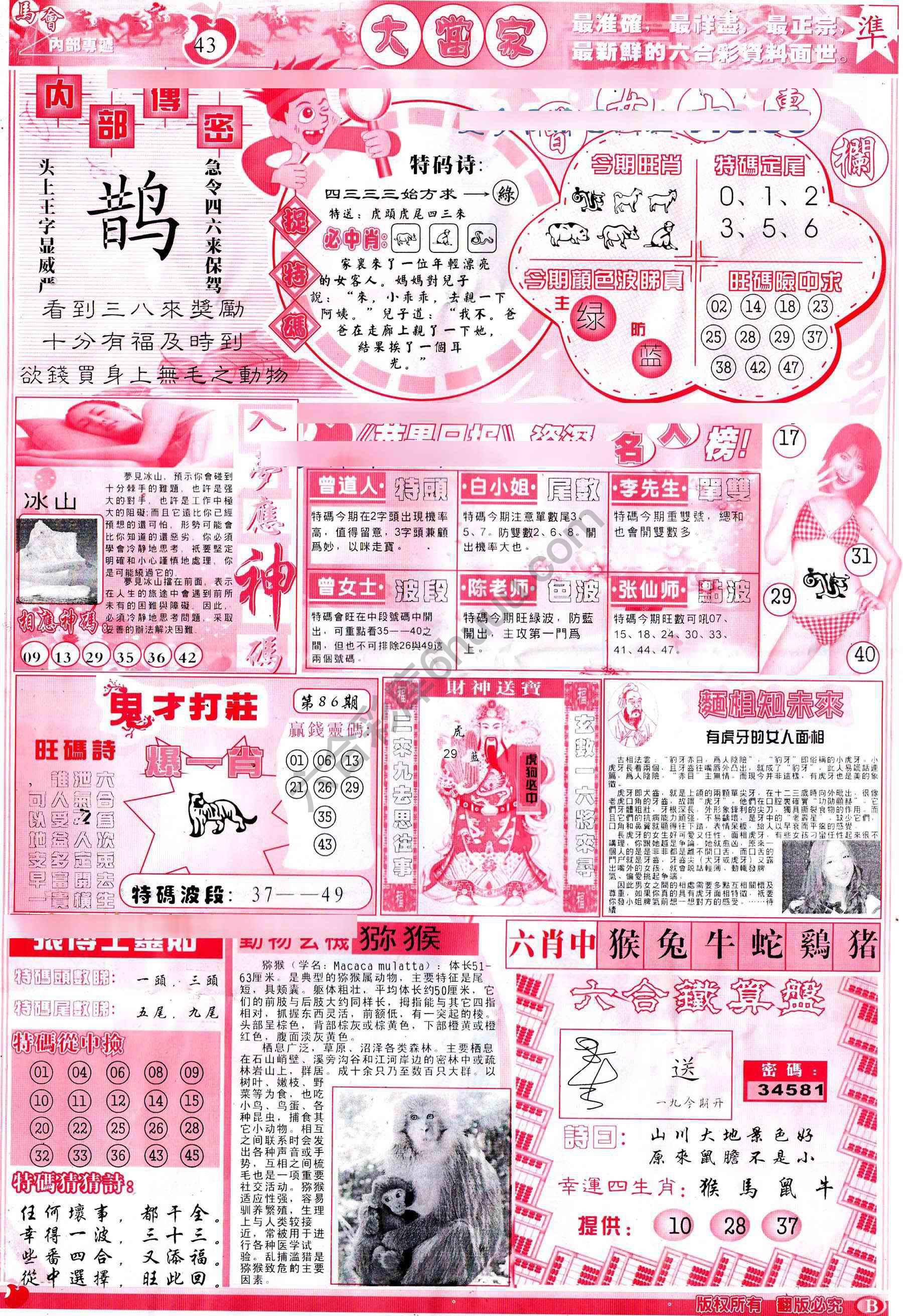 大当家