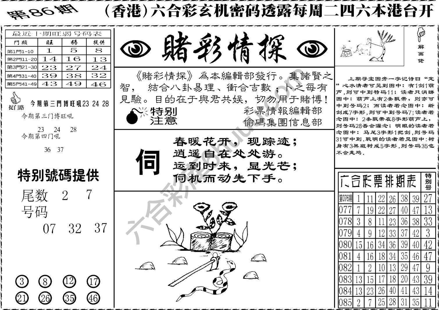 赌彩情探