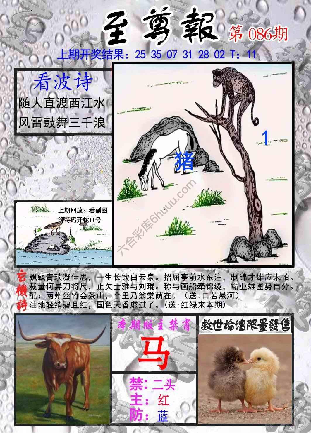 至尊报