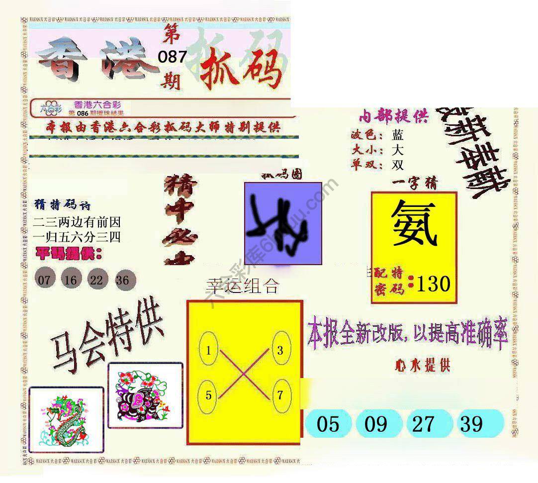 新抓码王