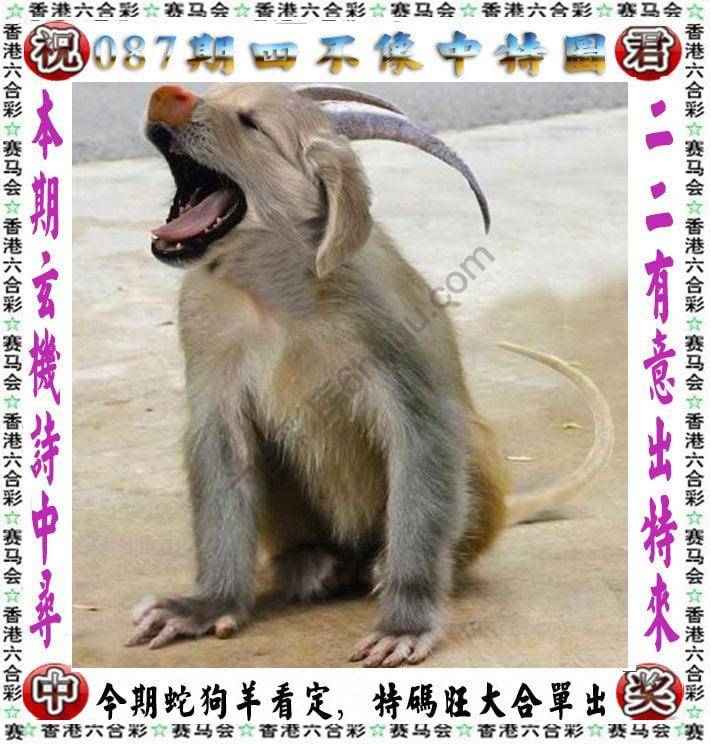四不像中特图