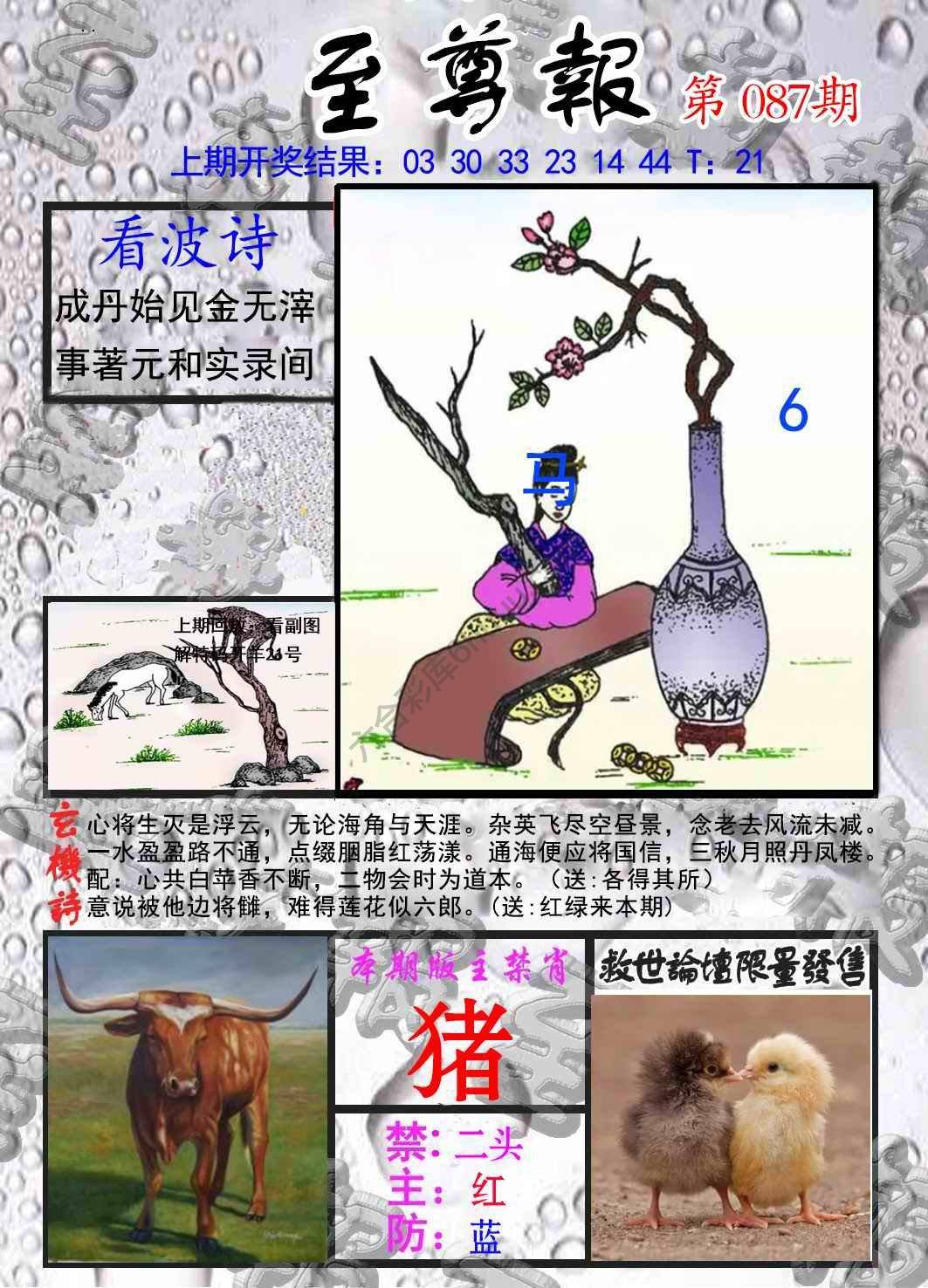 至尊报