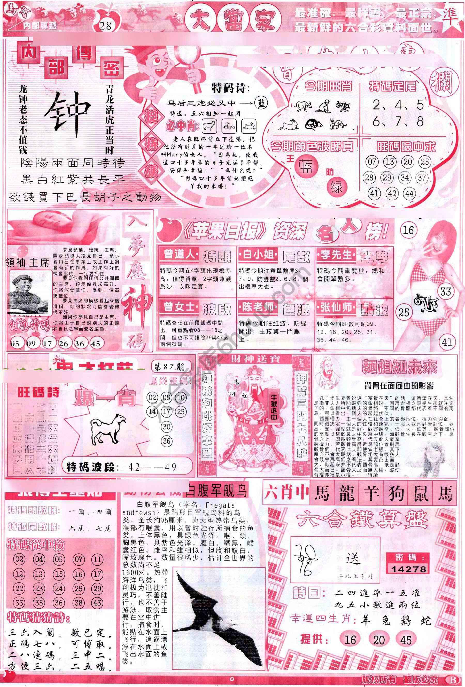 大当家