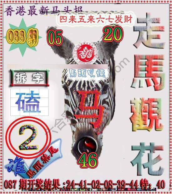 香港马头报