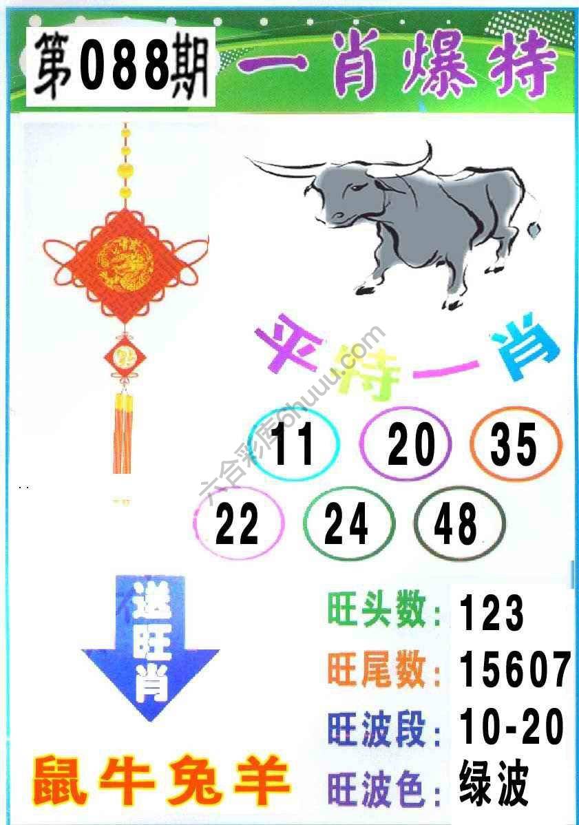 一肖爆特（新版）