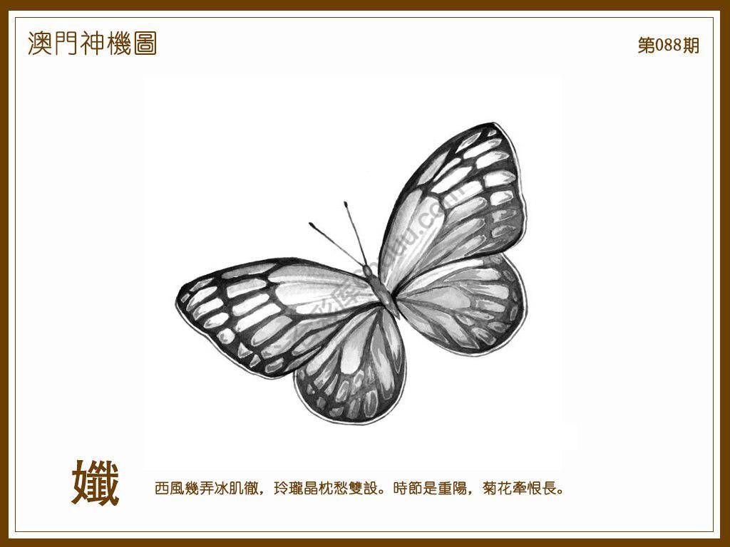 澳门神机图