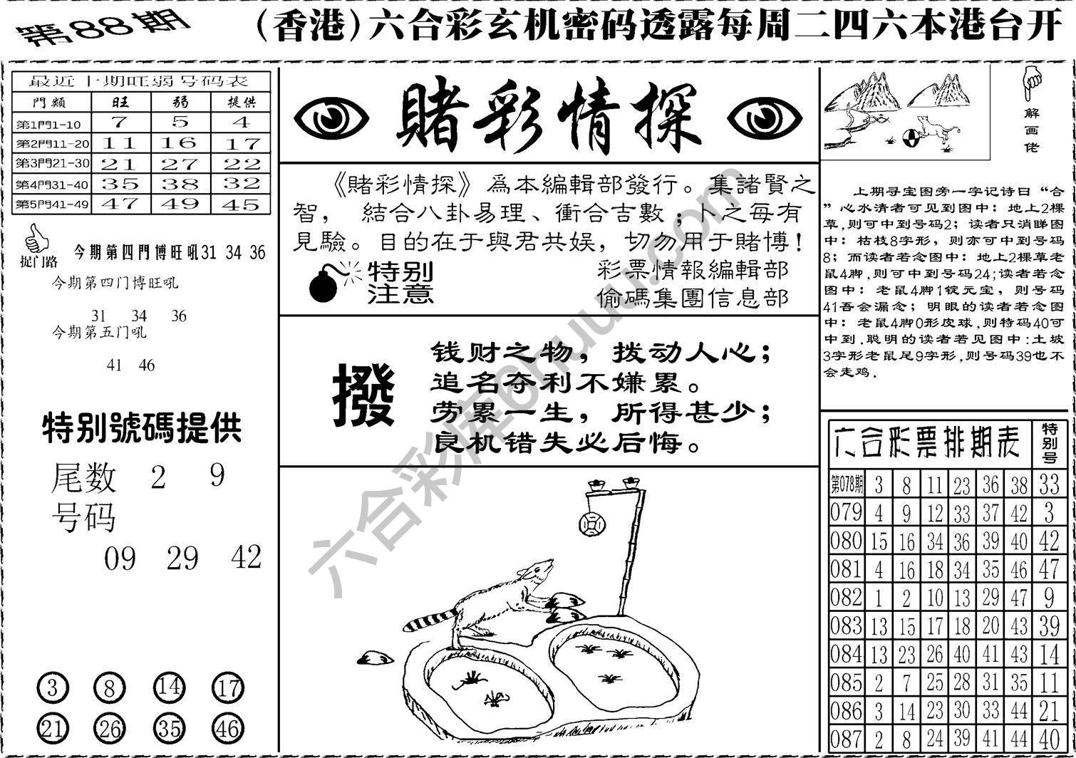 赌彩情探