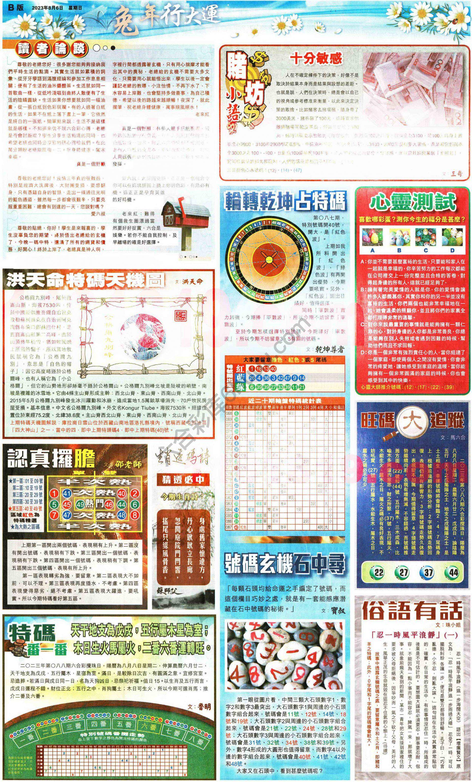 大版贴士皇