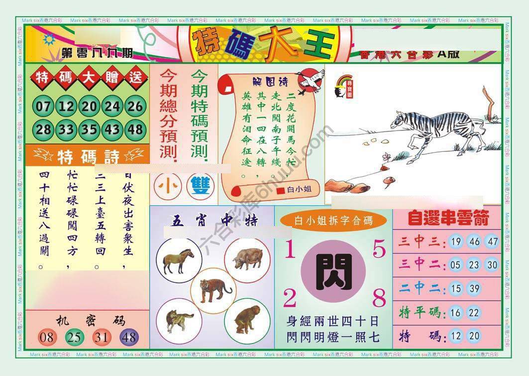 特码大王